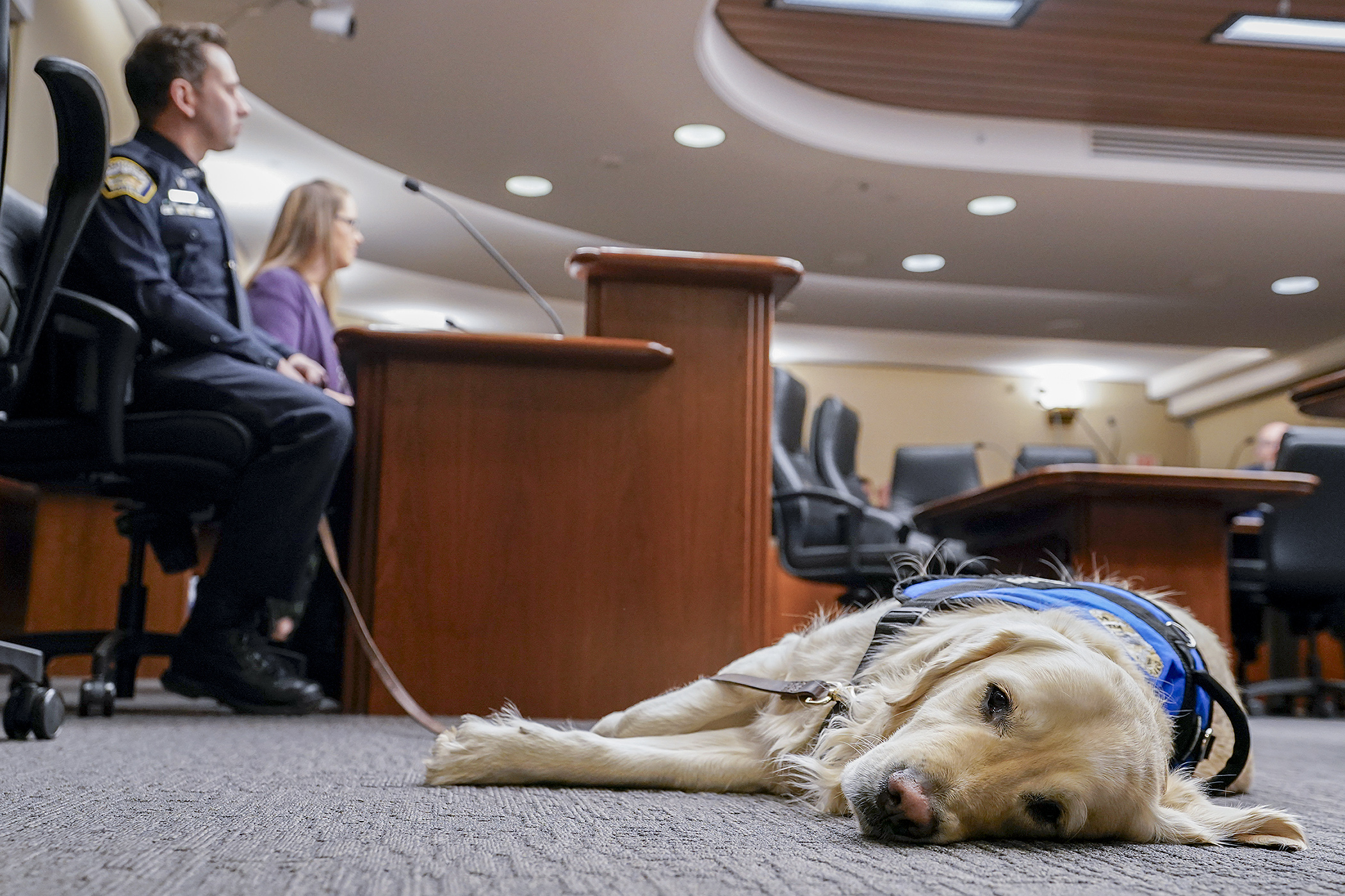 Woodbury Police Detective Adam Sack and Otis, the department's golden retriever therapy dog, accompanied Rep. Patricia Mueller for a hearing on her bill to establish grants to help place therapy dogs in law enforcement agencies. (Photo by Michele Jokinen)